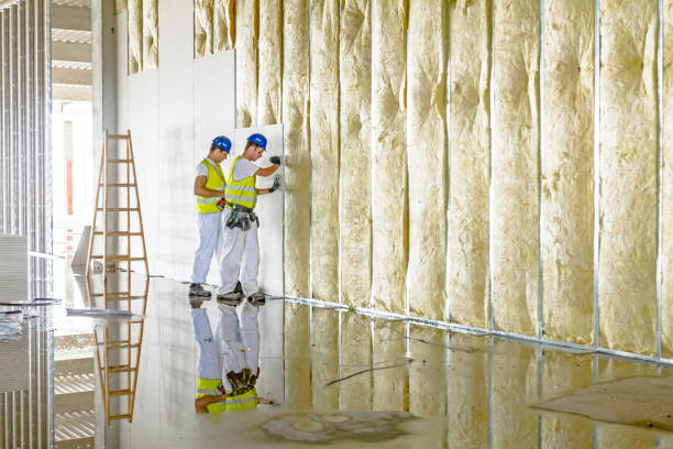Best Types of Insulation in Cameron, TX